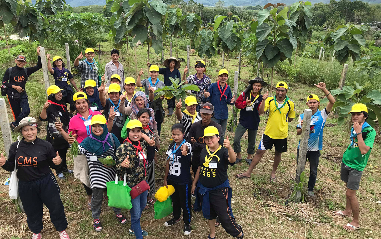 rdi pkru 17 nov 2018 1